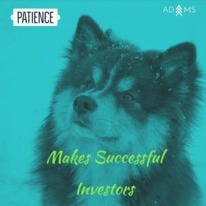 Patient Investor
